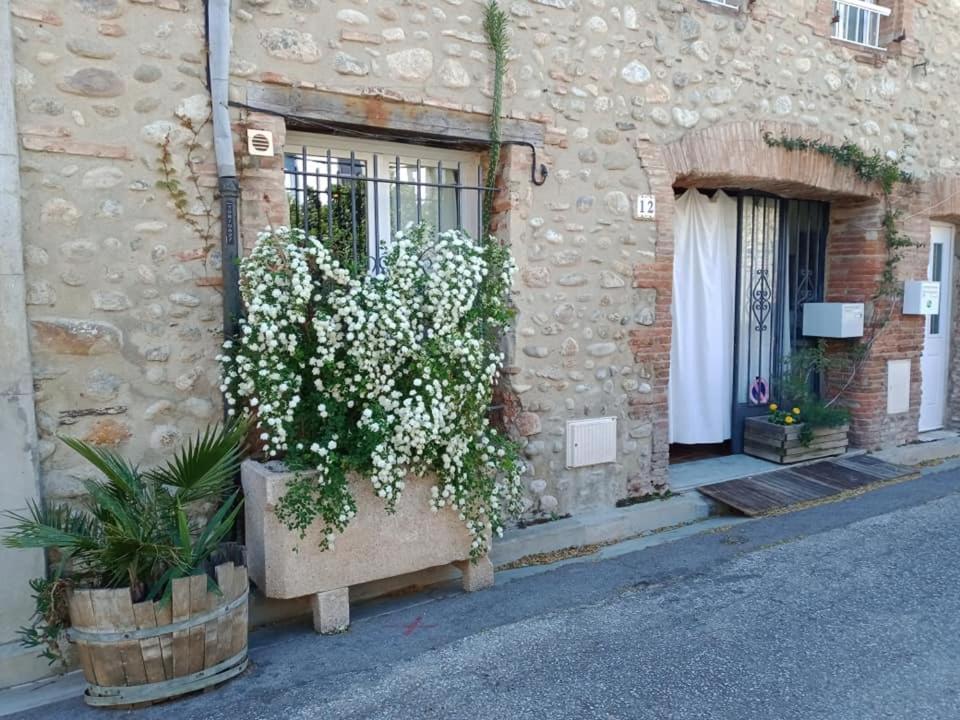 BELLE MAISON DE CARACTERE DE VILLAGE et STUDIO PISCINE Privée 9 PERS Millas Esterno foto